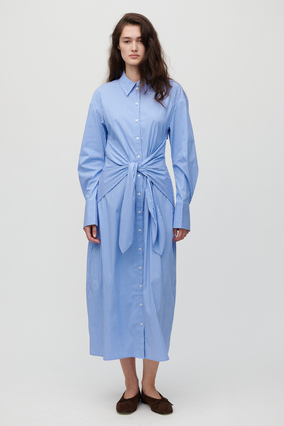 Carine-Hydrangea Blue