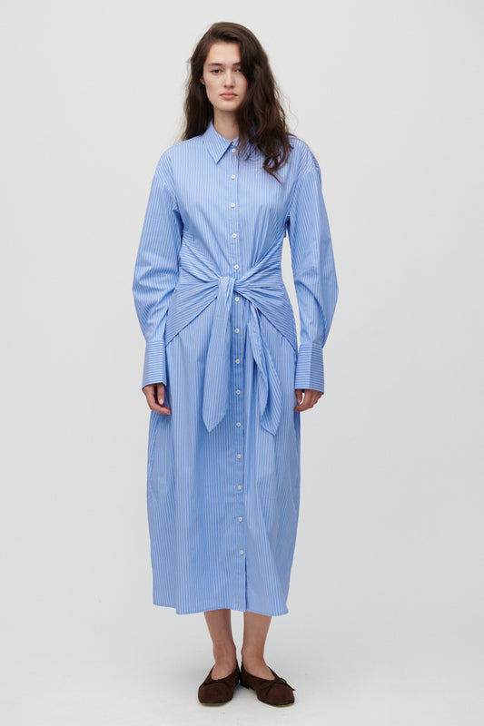 Carine-Hydrangea Blue