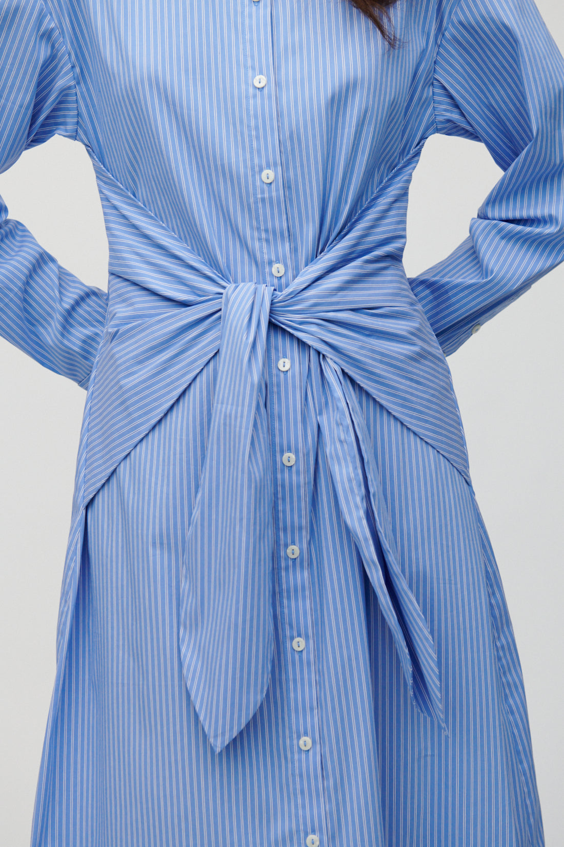 Carine-Hydrangea Blue