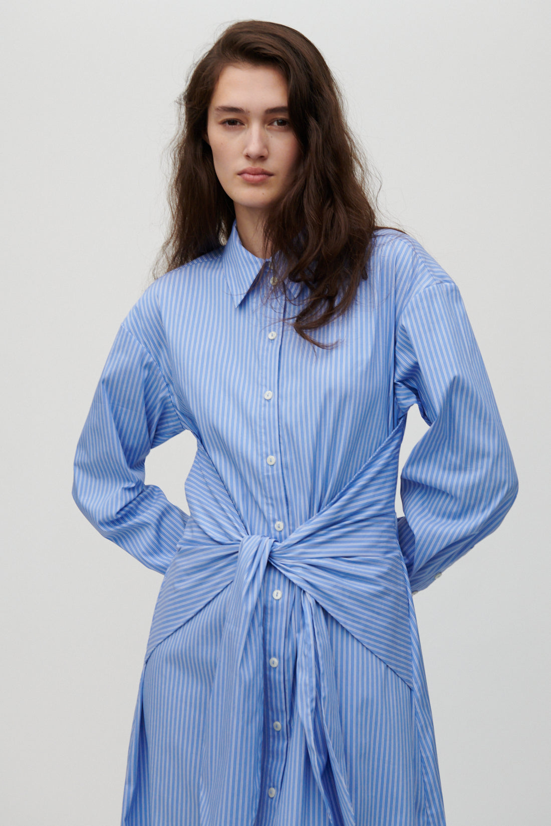 Carine-Hydrangea Blue