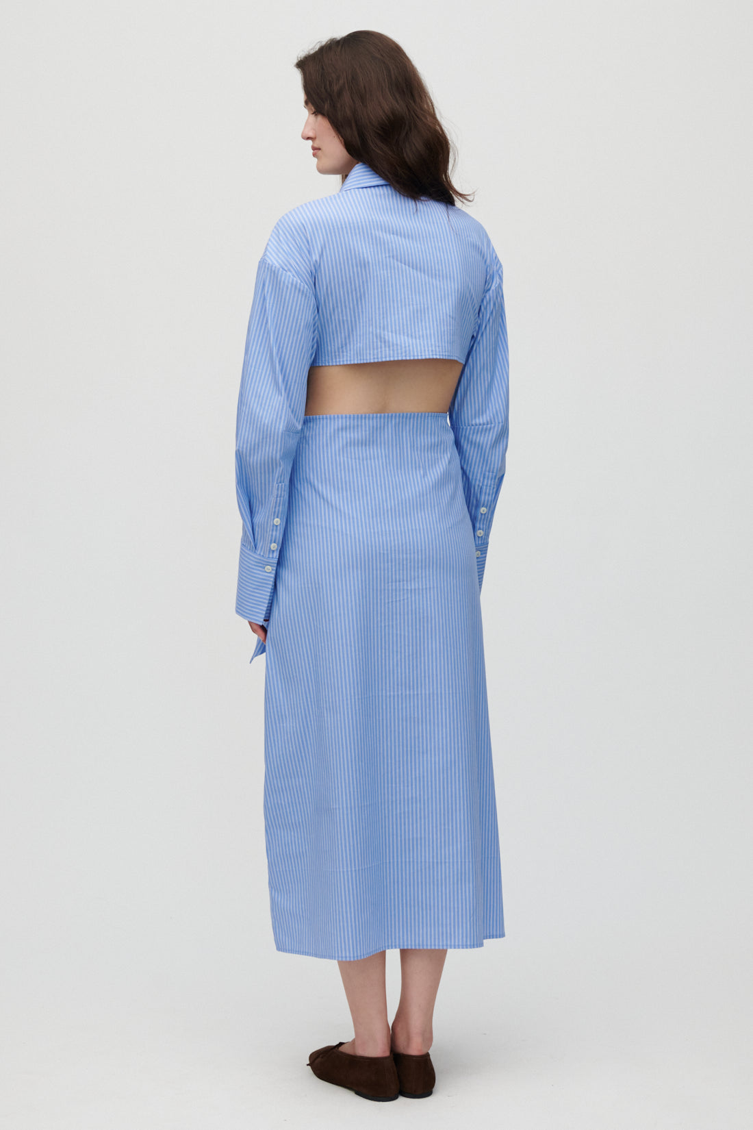 Carine-Hydrangea Blue