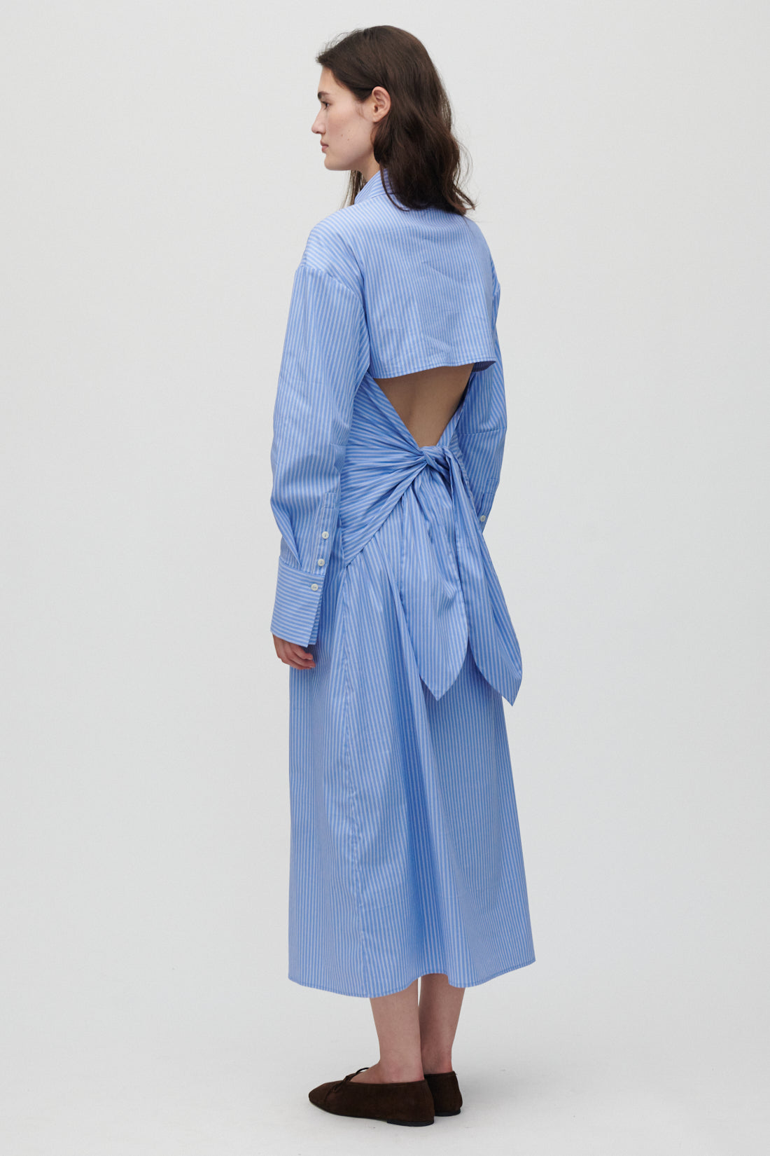 Carine-Hydrangea Blue