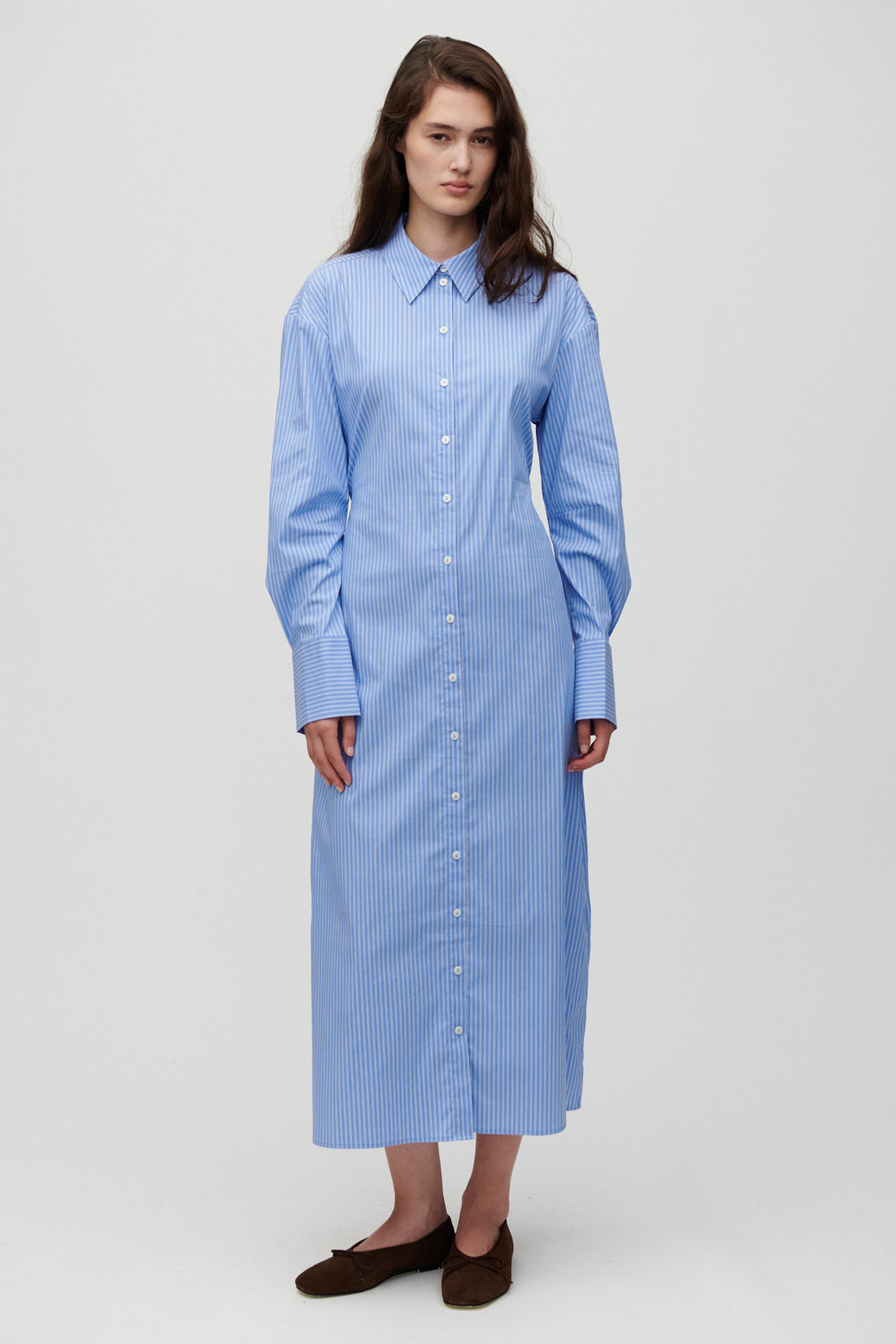 Carine-Hydrangea Blue