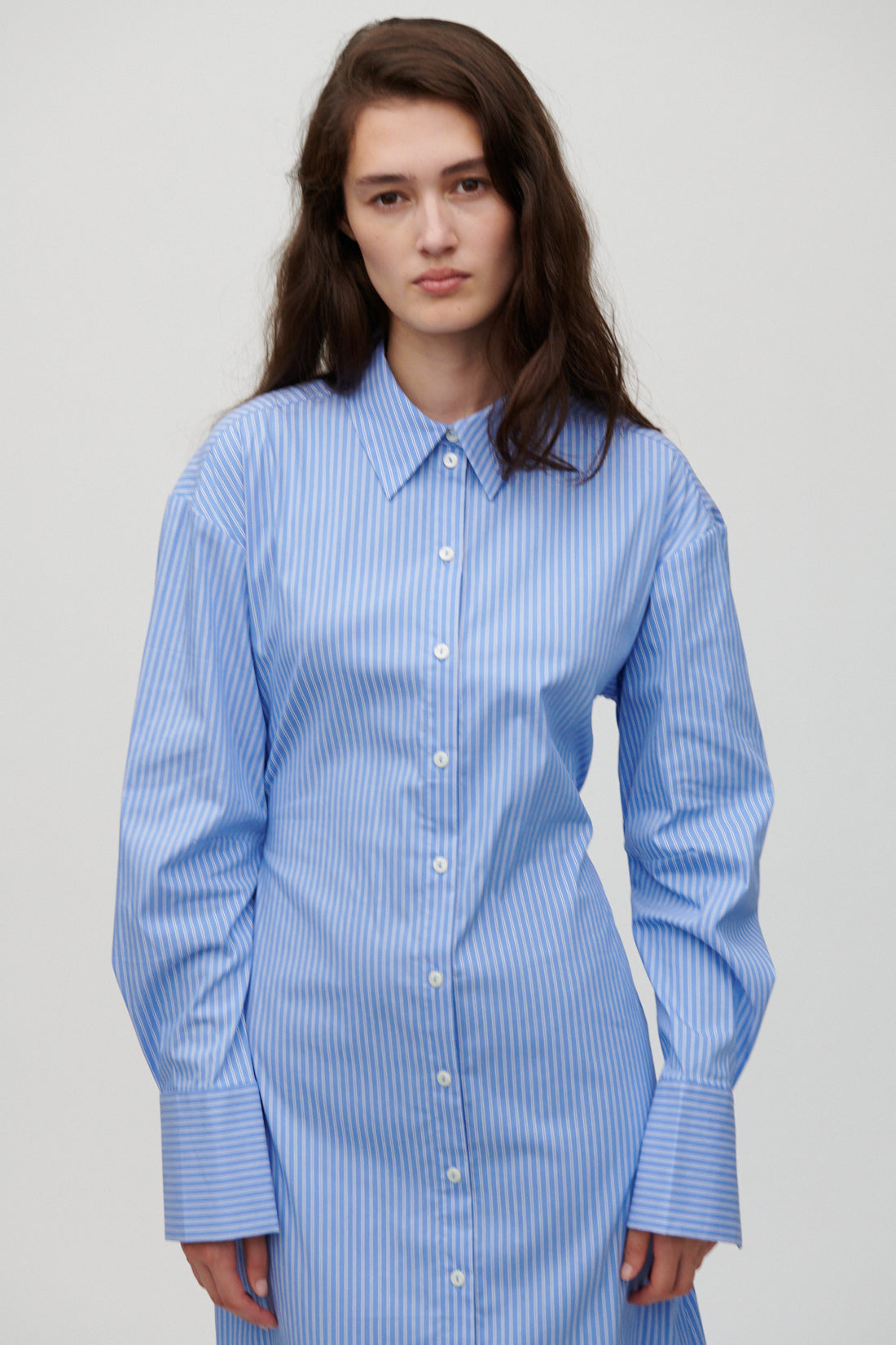 Carine-Hydrangea Blue